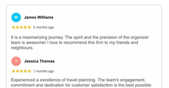 Embed Google Reviews on Website