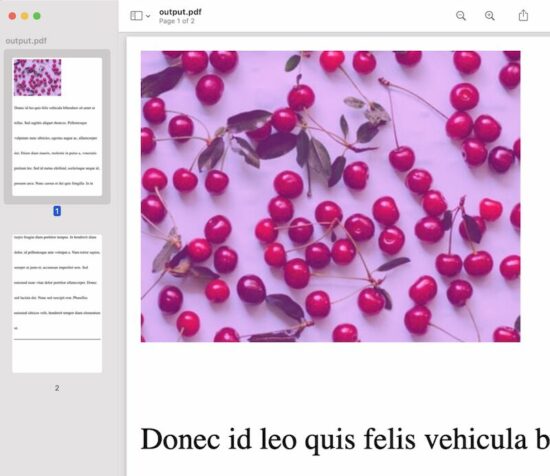 generate pdf from html output