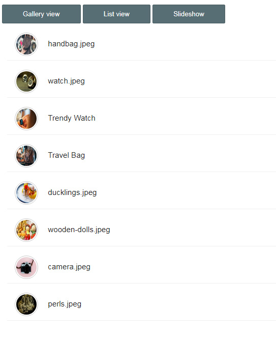 Image File Explorer List View