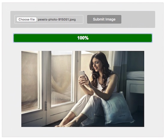 jquery-ajax-image-upload-with-animating-progress-bar-output