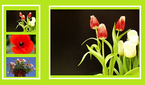 image-slide