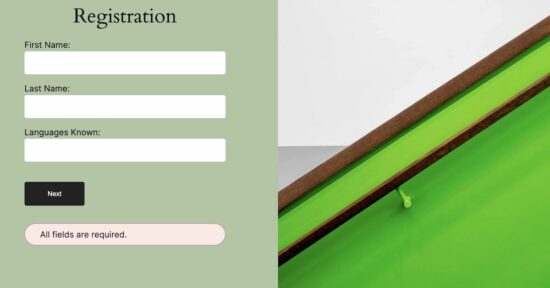 Form Validation JS Error