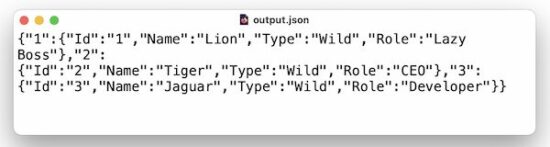 output json file