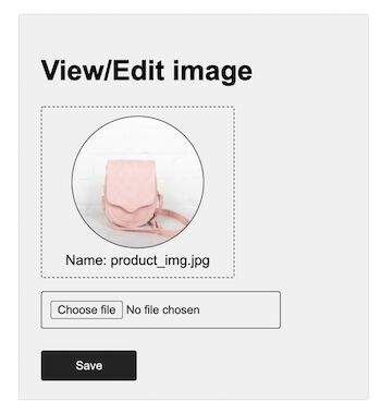 file edit form with preview