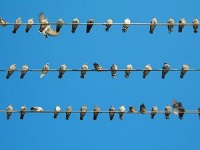 PHP Line Breaks