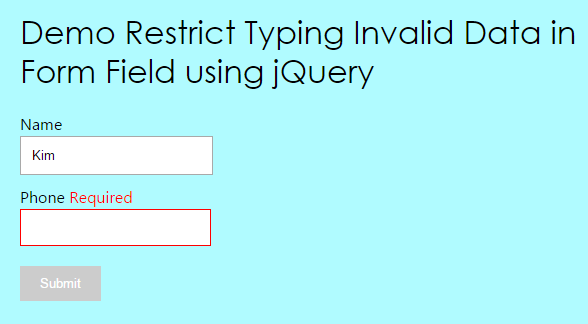 restrict-invalid-data-using-jquery