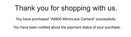 Payment Success Page